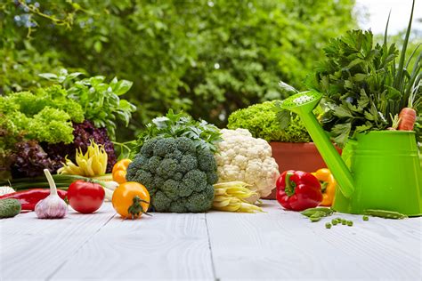 Vegetable Gardening for Beginners: An Egyptian Oasis of Practical Wisdom!