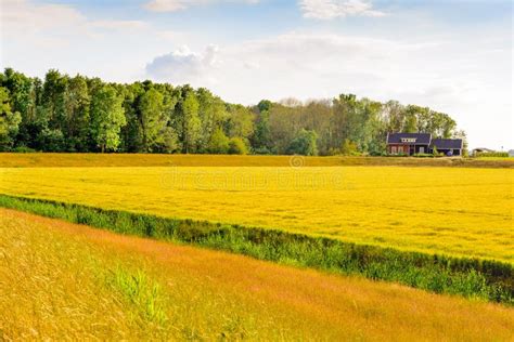  Yorkshire: A Portrait of England - Ontdek een kleurrijk landschap vol geschiedenis en folklore!