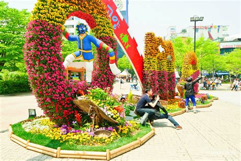  Blooming Roots: A Sensory Exploration into Korean Horticulture