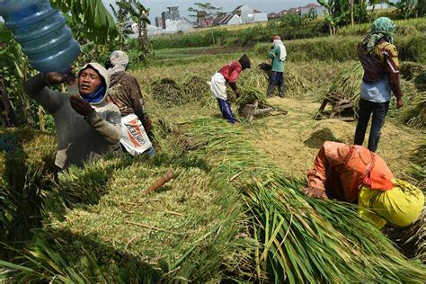  “Garden Variety: The Story of Indonesian Agriculture” - A Portrait of Resilience and Innovation